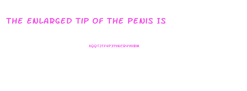 The Enlarged Tip Of The Penis Is