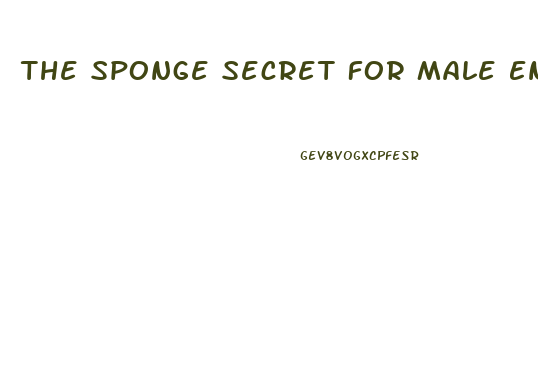 The Sponge Secret For Male Enhancement