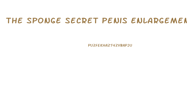 The Sponge Secret Penis Enlargement