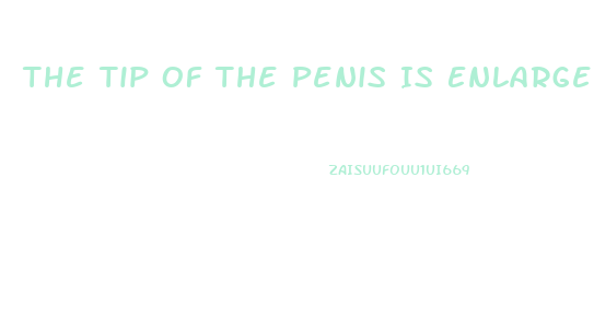 The Tip Of The Penis Is Enlarged To Form The 