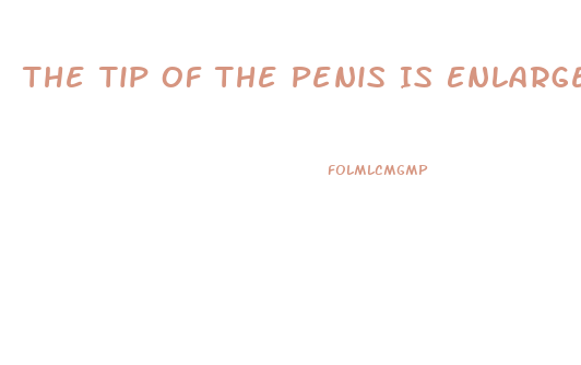 The Tip Of The Penis Is Enlarged To Form The