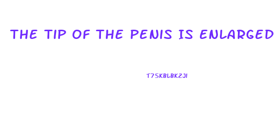 The Tip Of The Penis Is Enlarged To Form The