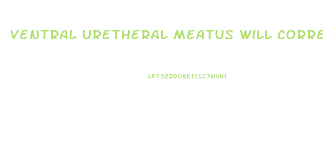 Ventral Uretheral Meatus Will Correct As Penis Enlarges