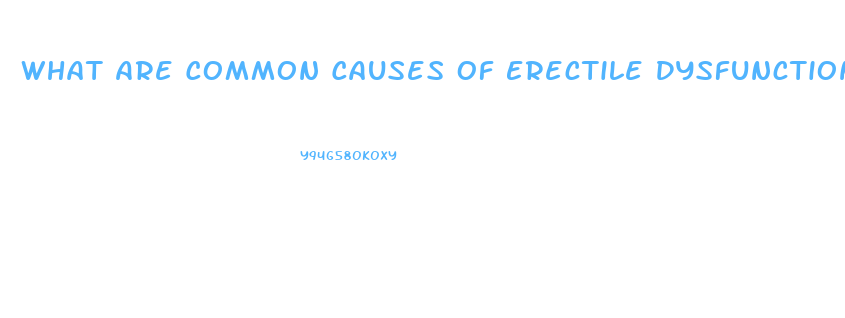 What Are Common Causes Of Erectile Dysfunction