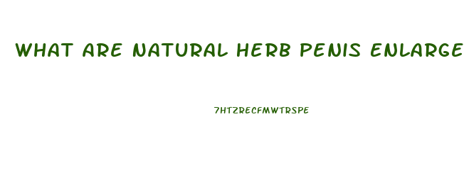 What Are Natural Herb Penis Enlargements