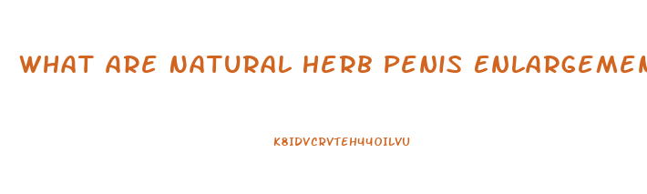 What Are Natural Herb Penis Enlargements