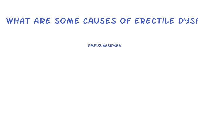 What Are Some Causes Of Erectile Dysfunction