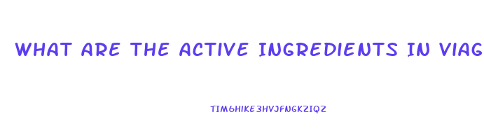 What Are The Active Ingredients In Viagra