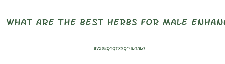 What Are The Best Herbs For Male Enhancement