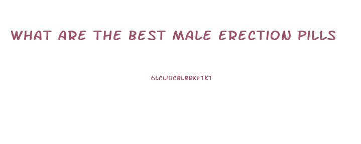 What Are The Best Male Erection Pills