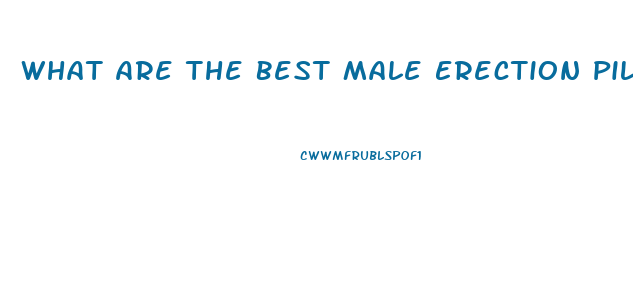 What Are The Best Male Erection Pills