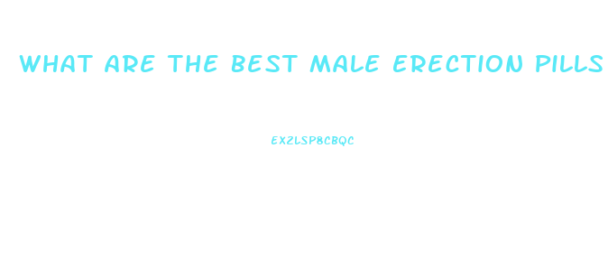 What Are The Best Male Erection Pills