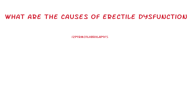 What Are The Causes Of Erectile Dysfunction