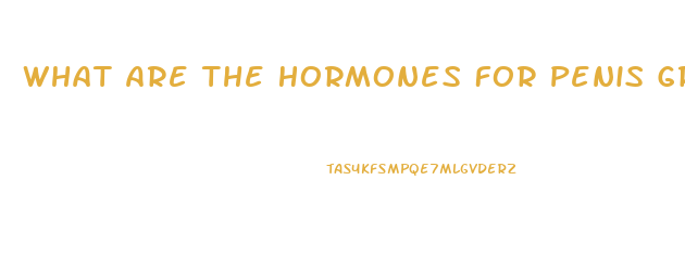 What Are The Hormones For Penis Growth In Puberty