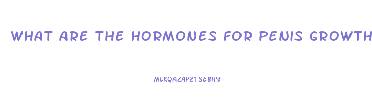 What Are The Hormones For Penis Growth In Puberty