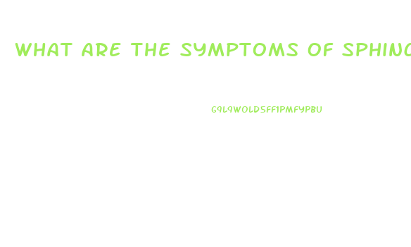 What Are The Symptoms Of Sphincter Of Oddi Dysfunction