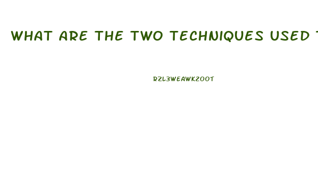 What Are The Two Techniques Used To Study Hypothalamic Dysfunction