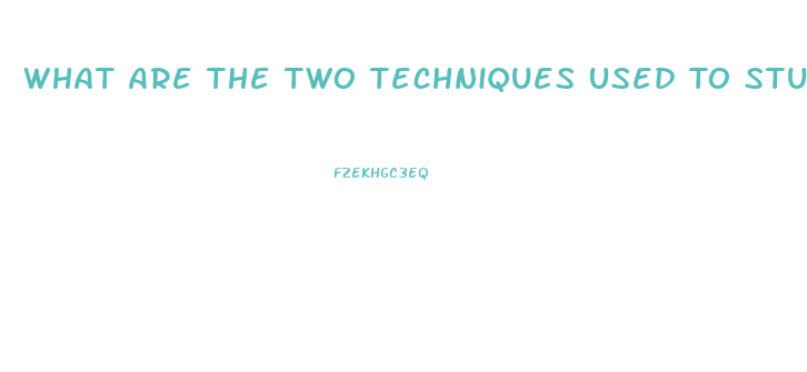 What Are The Two Techniques Used To Study Hypothalamic Dysfunction