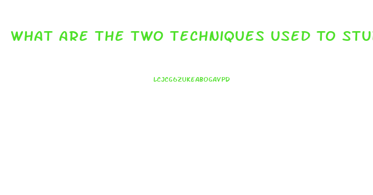 What Are The Two Techniques Used To Study Hypothalamic Dysfunction