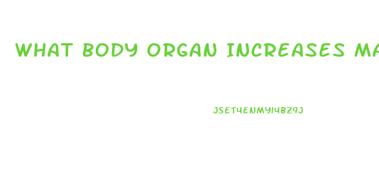 What Body Organ Increases Male Libido