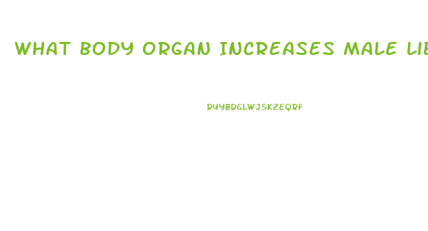 What Body Organ Increases Male Libido