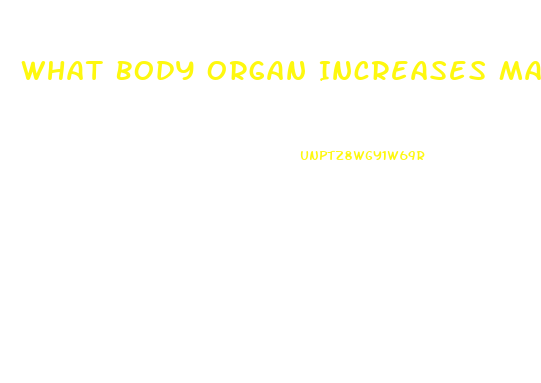 What Body Organ Increases Male Libido