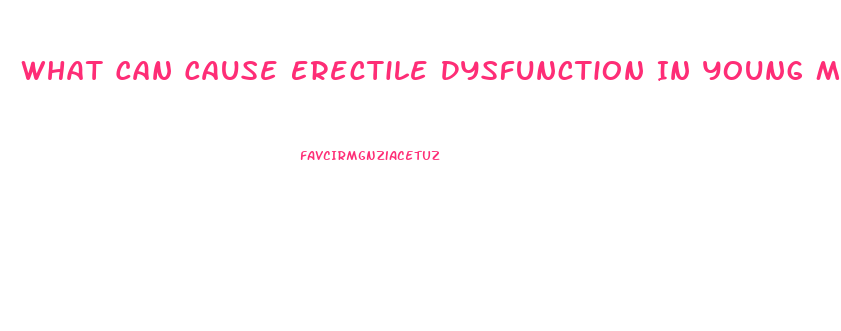 What Can Cause Erectile Dysfunction In Young Men