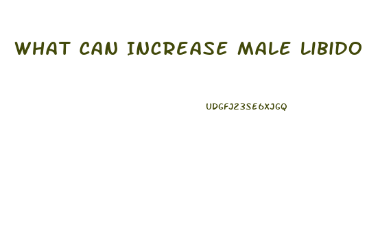 What Can Increase Male Libido