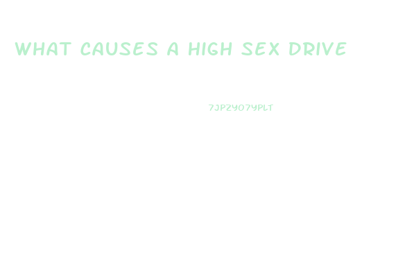 What Causes A High Sex Drive