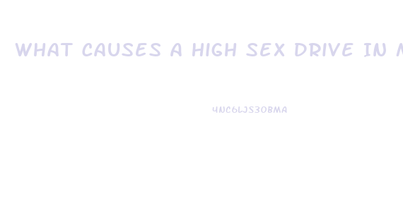 What Causes A High Sex Drive In Males