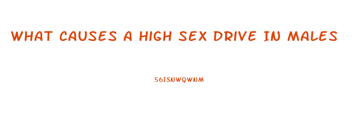 What Causes A High Sex Drive In Males