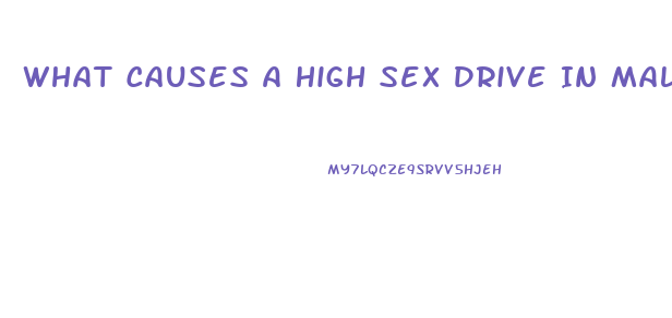 What Causes A High Sex Drive In Males