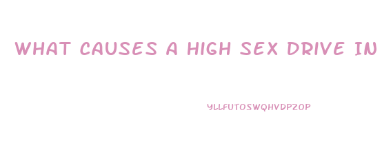 What Causes A High Sex Drive In Males