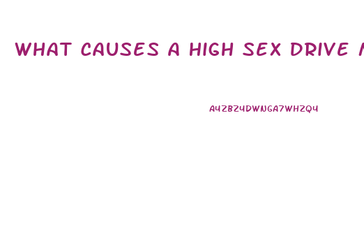 What Causes A High Sex Drive Male