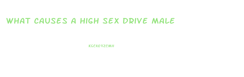 What Causes A High Sex Drive Male