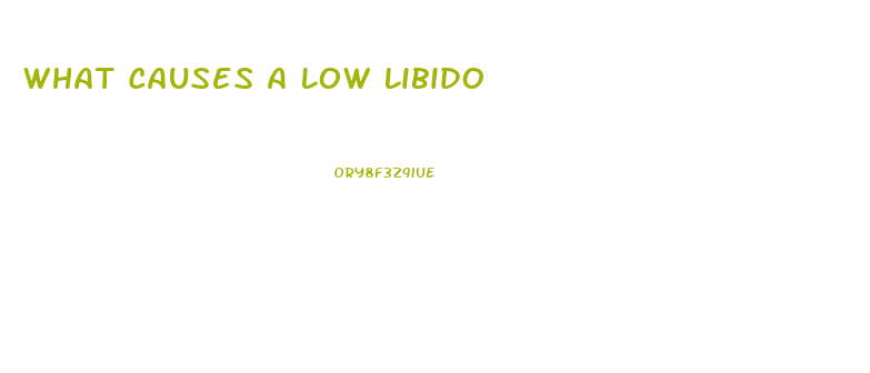 What Causes A Low Libido