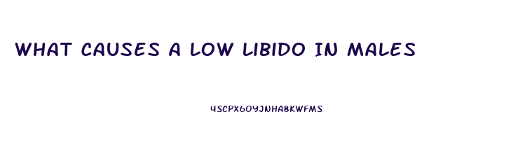 What Causes A Low Libido In Males