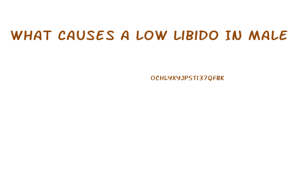 What Causes A Low Libido In Males