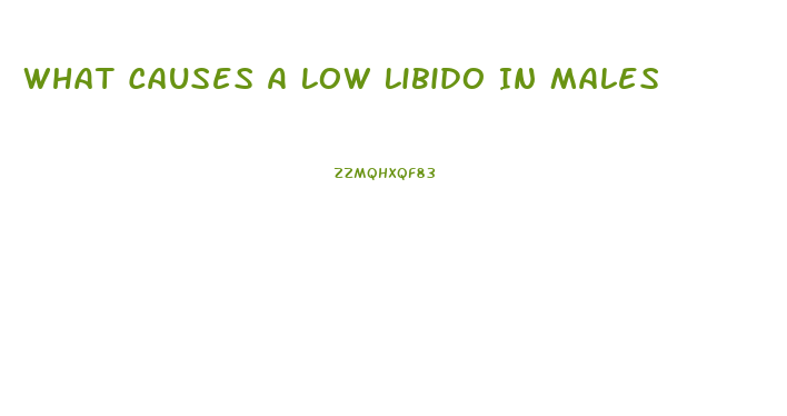 What Causes A Low Libido In Males