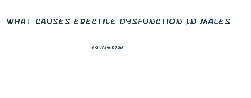 What Causes Erectile Dysfunction In Males