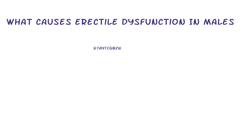 What Causes Erectile Dysfunction In Males