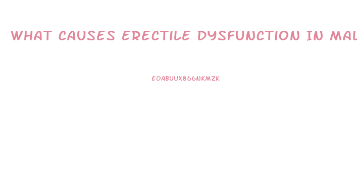 What Causes Erectile Dysfunction In Males