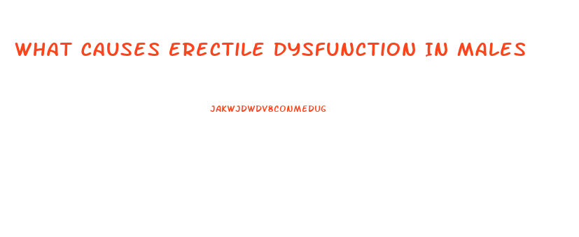 What Causes Erectile Dysfunction In Males