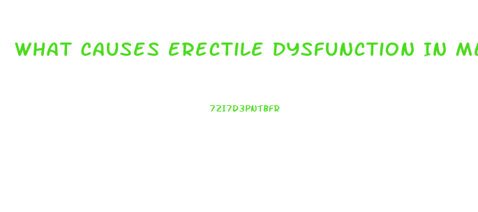 What Causes Erectile Dysfunction In Men