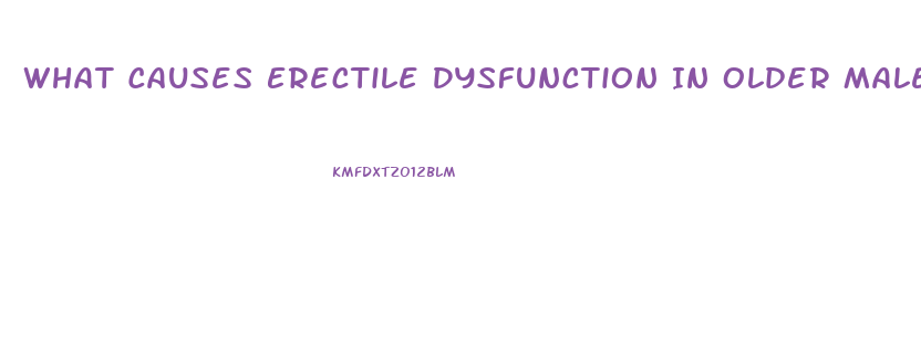 What Causes Erectile Dysfunction In Older Males