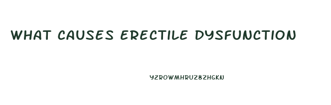 What Causes Erectile Dysfunction