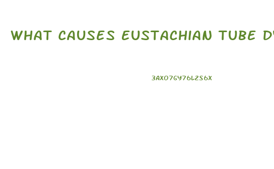 What Causes Eustachian Tube Dysfunction