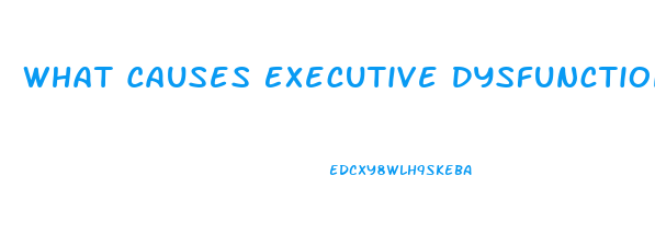 What Causes Executive Dysfunction