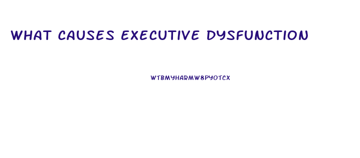 What Causes Executive Dysfunction