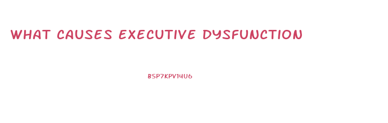 What Causes Executive Dysfunction